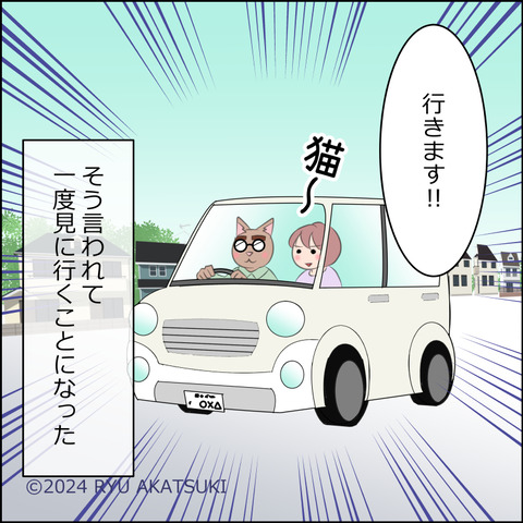 nekokita007d
