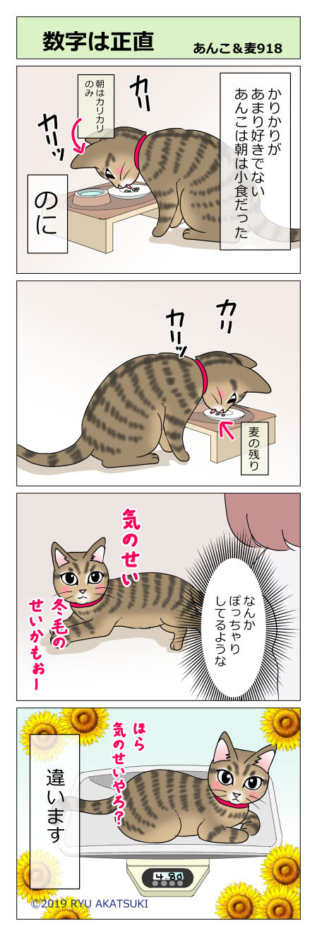 あんこ&麦STORY918