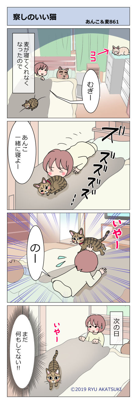 あんこ&麦STORY861