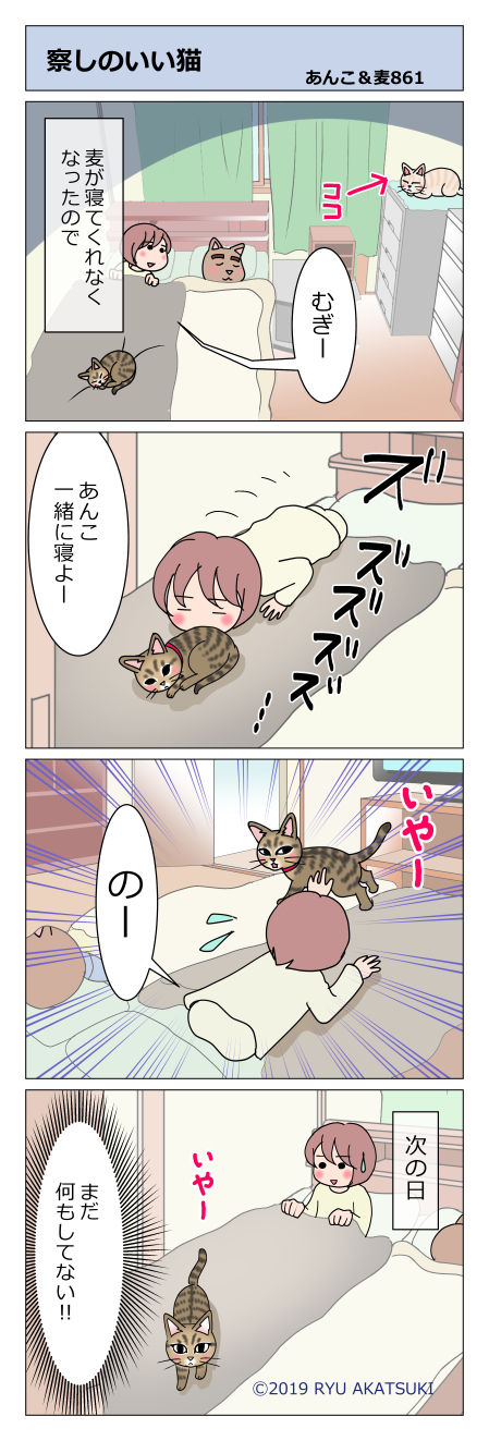 あんこ＆麦STORY861