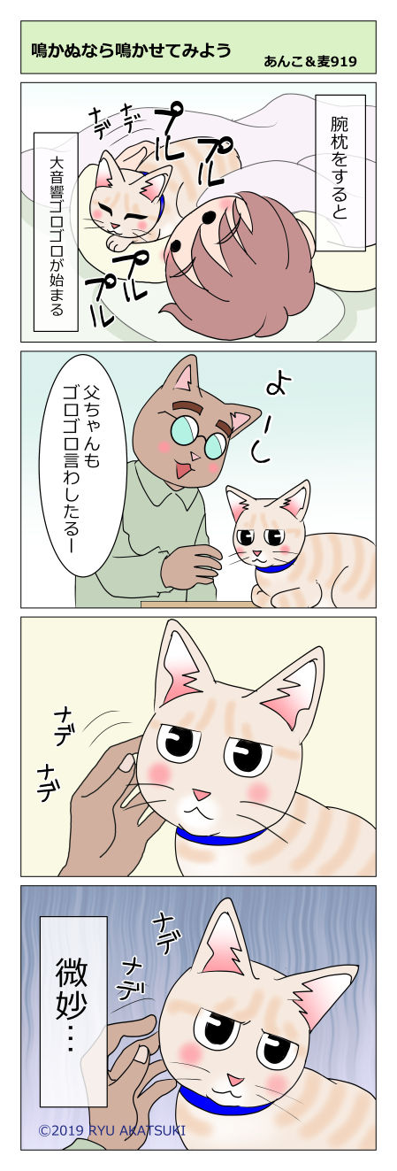 あんこ＆麦STORY919