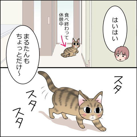 あんこ&麦STORY2137c