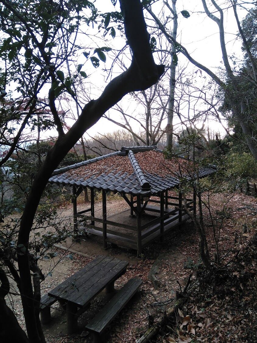 おばさんはエッチなお年ごろ ペンギンクラブ21年4月号 と足利の山火事 天望心喜 あさぎ龍のブログ