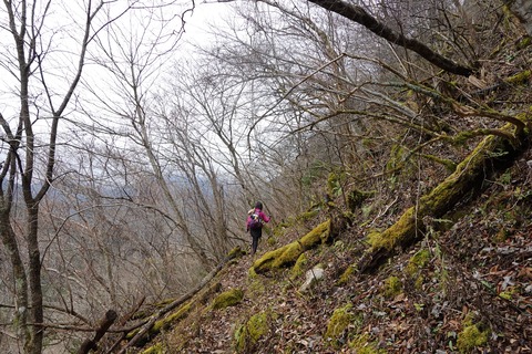 DSC00370