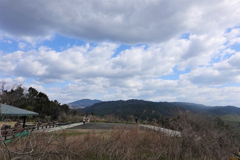 DSC02390