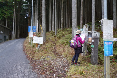 DSC00367