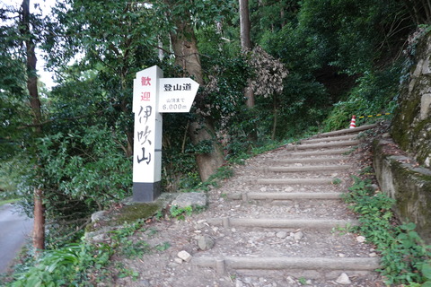 DSC00011