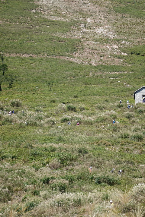 DSC00124