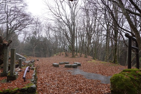 DSC00409