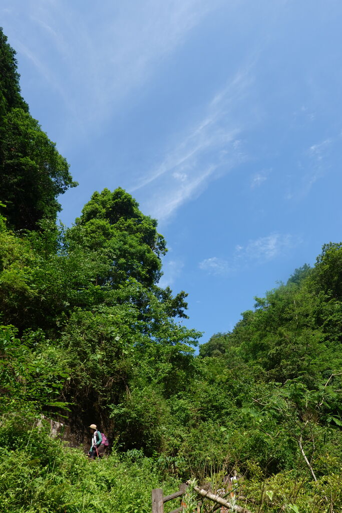 来月も晴れたらいいね 葛城山 もっと登れば青い空 日々是セレッソ ときどきマウンテン