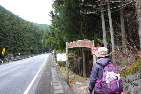 DSC00353