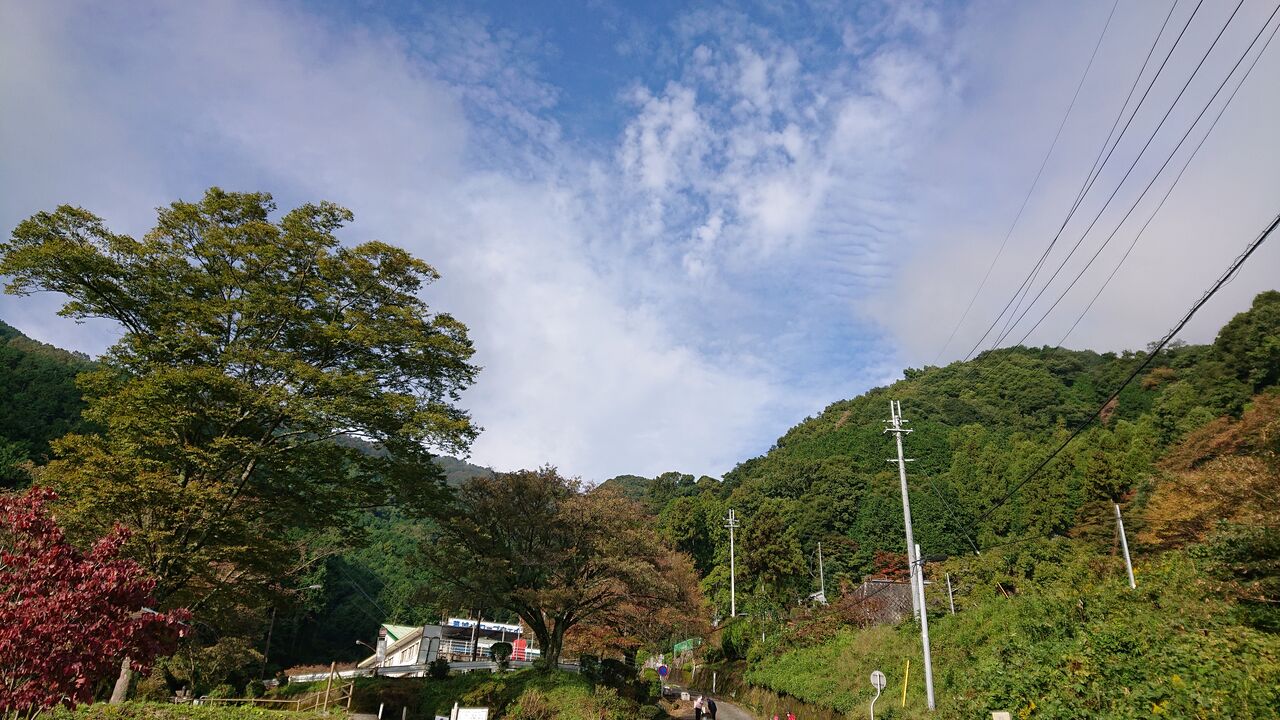 葛城山はキャンプ場のみ火気ok 有料 大和葛城山 もっと登れば青い空 日々是セレッソ ときどきマウンテン 葛城山はキャンプ場のみ火気ok 有料 大和葛城山 もっと登れば青い空 日々是セレッソ ときどきマウンテン