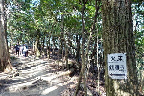 DSC02453