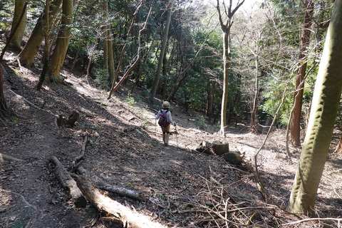 DSC02482
