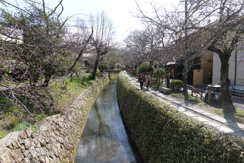 DSC02485