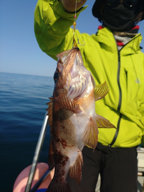 KIMG20260511_073237918