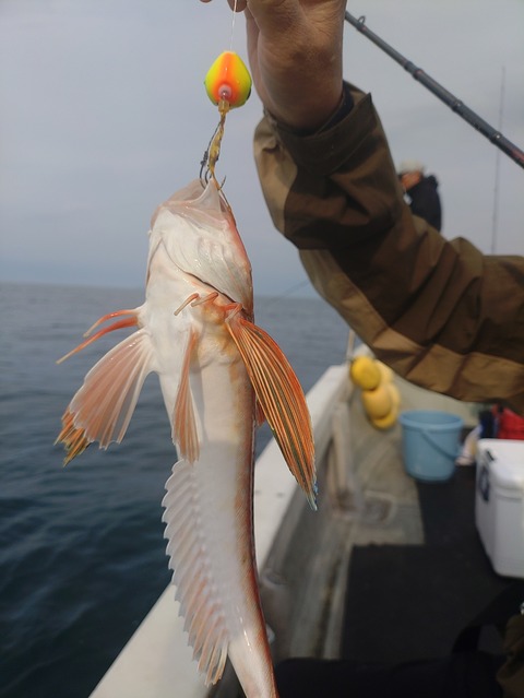 KIMG20260508_070746420