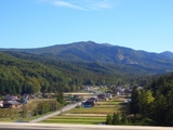 道中の田舎道
