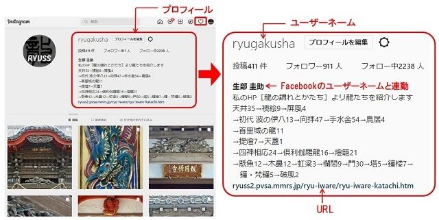 910-写真 プロフィールn-640