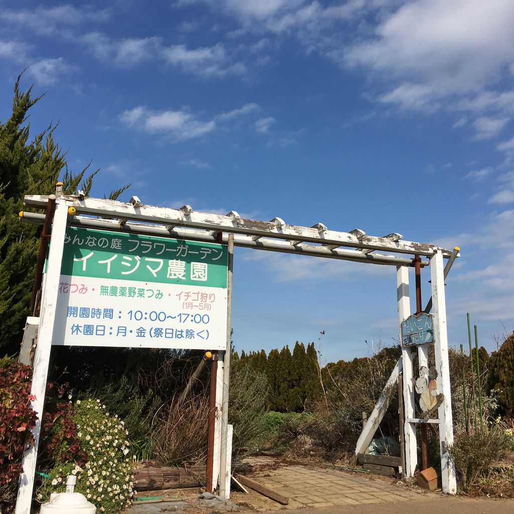 三浦海岸で入手出来る完全無農薬の野菜 書道家 龍玄 公式ブログ