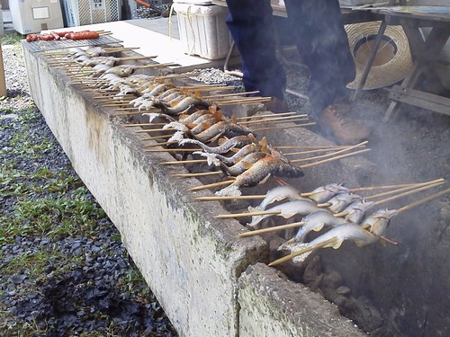 塩焼き鮎の