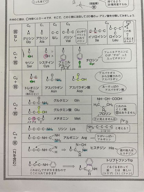 amino-2