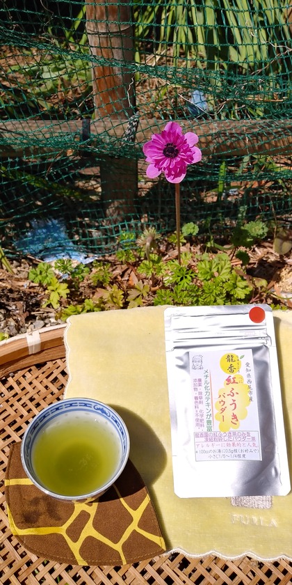 IMG00507_HDR