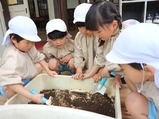 土づくり (2)