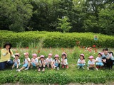 梅公かざぐるま (4)