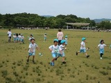 梅公かざぐるま (7)