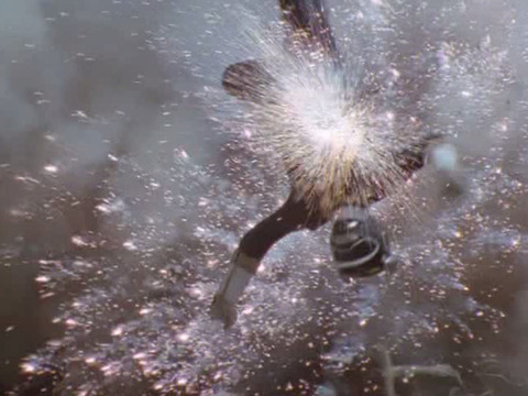 gaoranger31