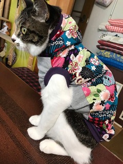 72C8E0D9-5806-464D-A887-657819050F86