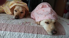 75101C14-387F-4103-9ED9-469B1B1D9D36