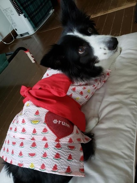 09F93B51-4AA2-4410-ACAC-3799BB62D8D4