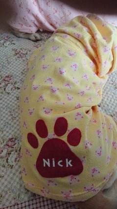 3025A2F8-17F2-4CCD-A89A-EF919D637962