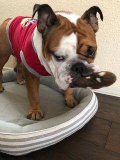 079925F0-CE0F-419E-81A1-E1A865EAD98D (1)