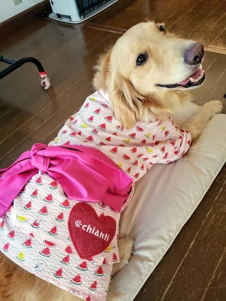 6DDC18E5-D3E3-4914-AEEB-F9663D8B35B0