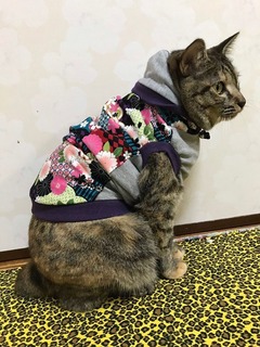 50B67851-D0B8-43B5-ADCA-7F59552632EF