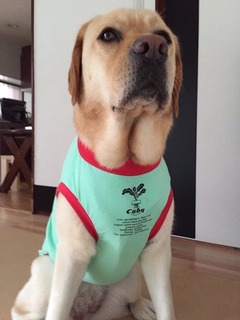 AB3A54E6-0910-4911-8BE7-0DFDD23A8773