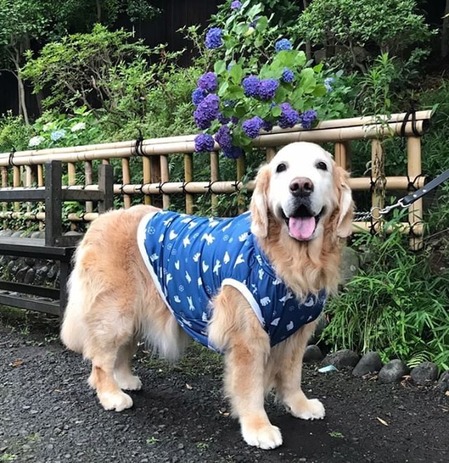 ABA0F74E-421E-4315-A8DA-B366E0E4DE21