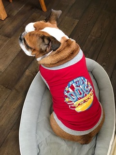 B48EED92-3D6A-4FFA-BB7A-0C645797C0F6