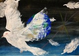 森田 悠莉