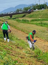 IMG_4540