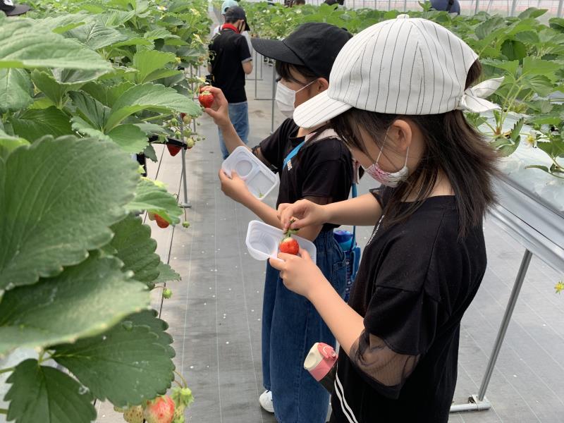 ５月１５日 チャレンジクラブ開講式および第１回クラブ活動 竜王町公民館のブログ