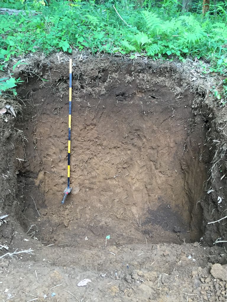 土壌断面 まさよさんのblog 土壌断面 まさよさんのblog