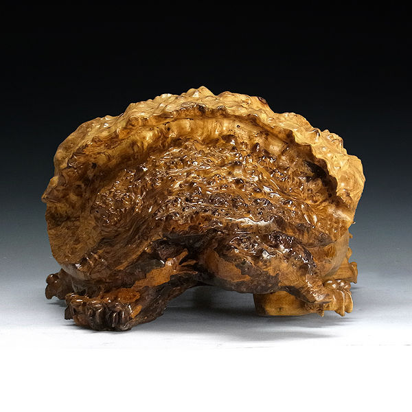 黄金楠 木彫りの龍亀(ロングイ) 高27×奥45cm （販売・木彫り）CT