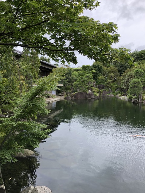 5JTbYN2fT9apWUqJfgKH9g