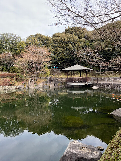 IMG_2026-01-30-143754