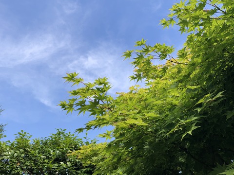 T63Ey7gHTxqwhITSMTDOoA