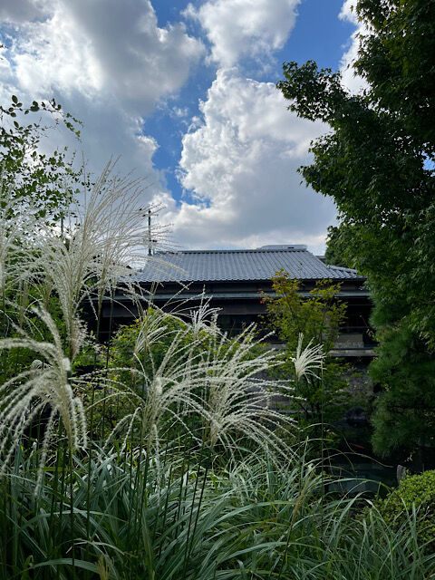 IMG_2024-09-13-103921